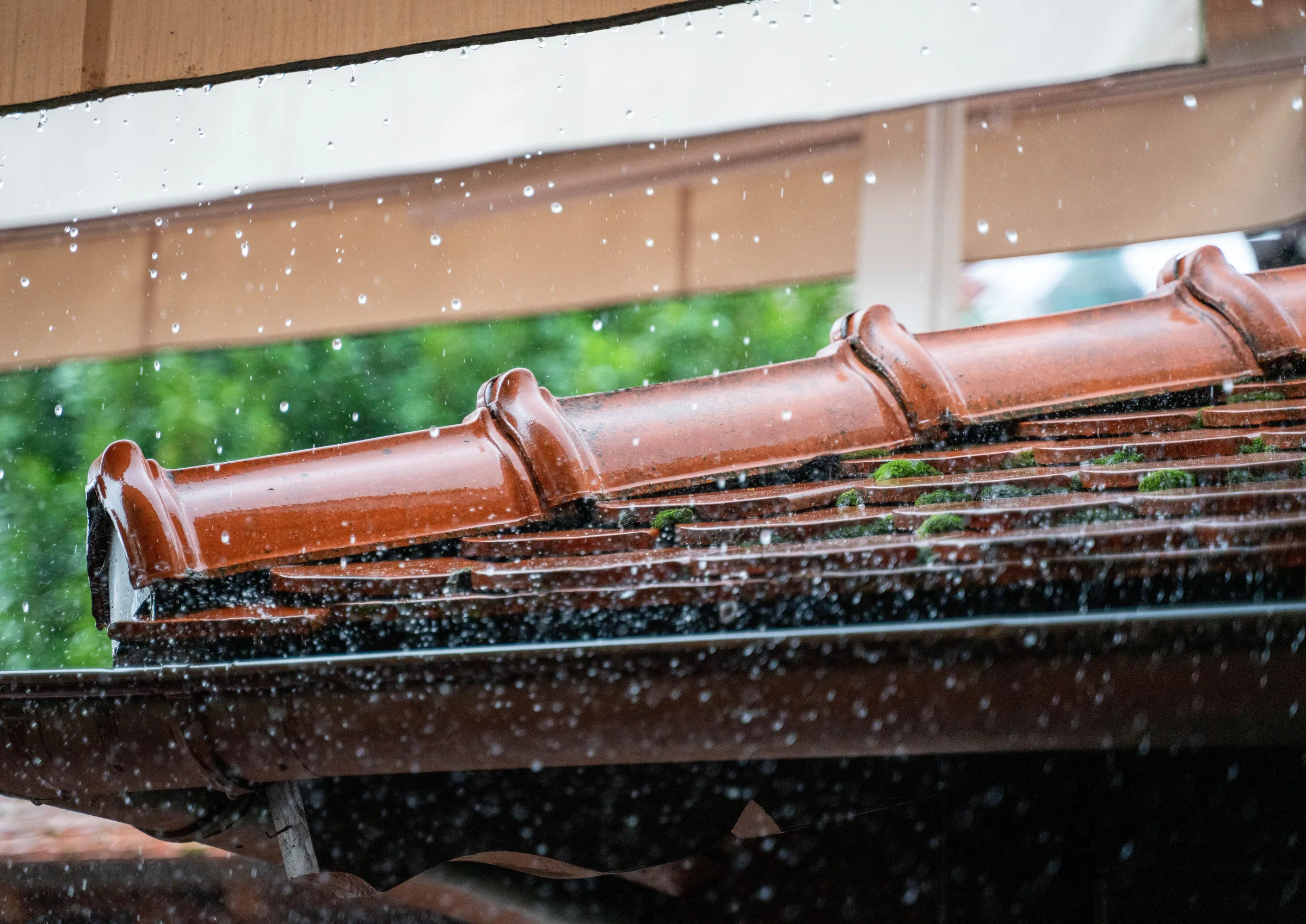 Gutter Cleaning in Carmichael, CA That Actually Works