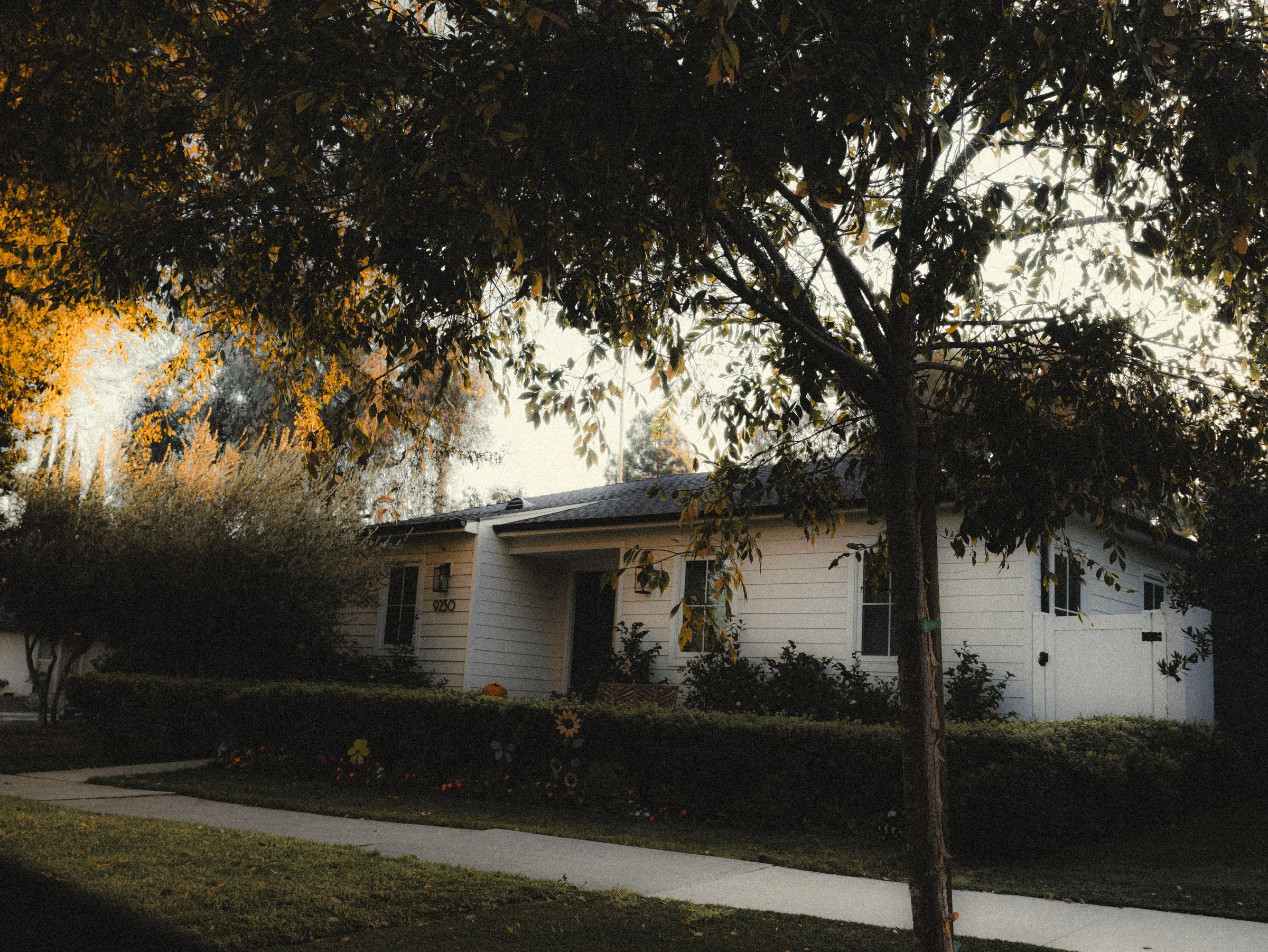 Residential Window Cleaning in Carmichael, CA